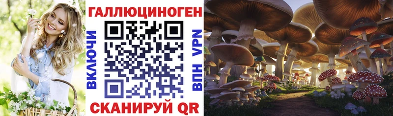 Купить закладки  Саранск  Псилоцибиновые грибы ЛСД 