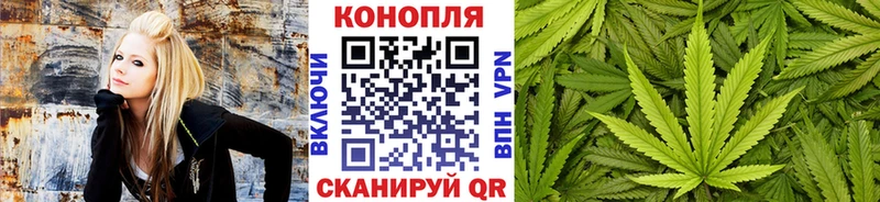 Купить закладки  Саранск  Марихуана сатива 